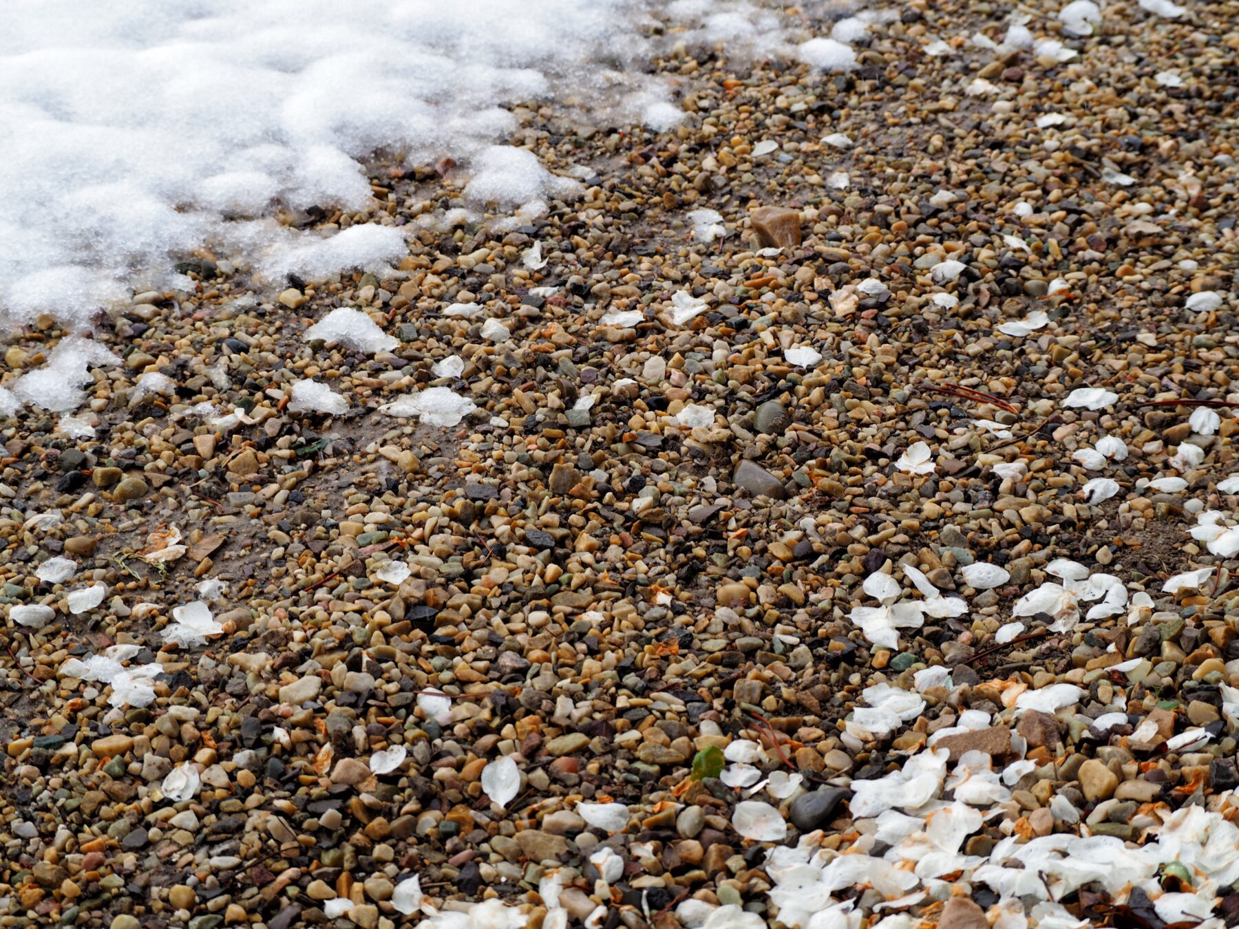 Close-up of gravel stones with winter snow, illustrating natural textures and erosion-resistant surfaces.